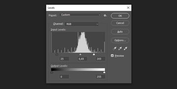 adding the levels adjustments